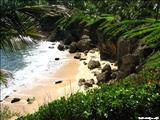Cerro Gordo Beach - VEGA ALTA